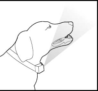 dibujo collar rocia citronella perro ana masoliver