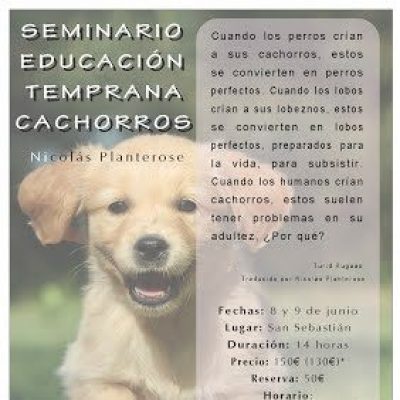 cartel seminario educacion temprana perros san sebastian