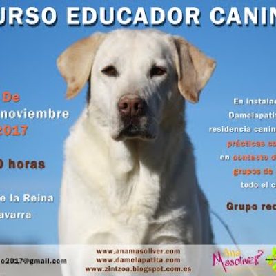 cartel curso educador canino ana masoliver