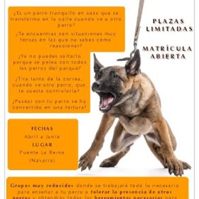 cartel curso perros agresivos educacion canina ana masoliver