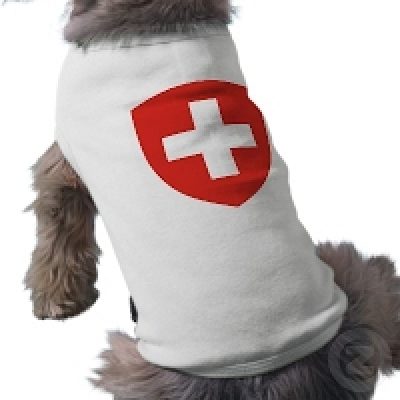 perro camiseta suiza adiestramiento gipuzkoa
